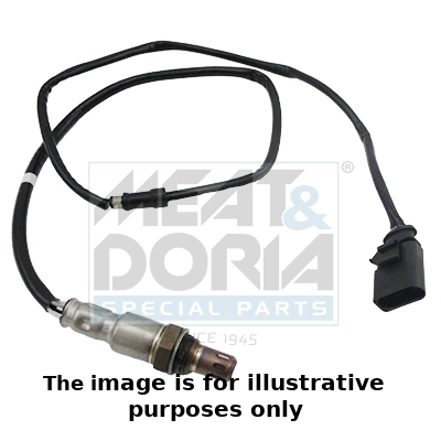 Oxygen Sensor